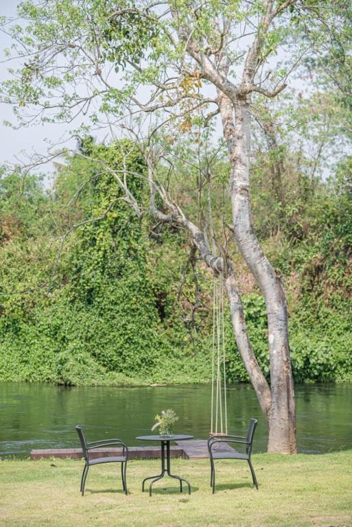 The Tree Riverside Kaeng Krachan Eksteriør billede